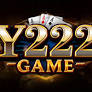 Y222 artwork